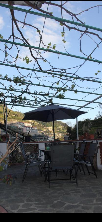Marella Holiday home *