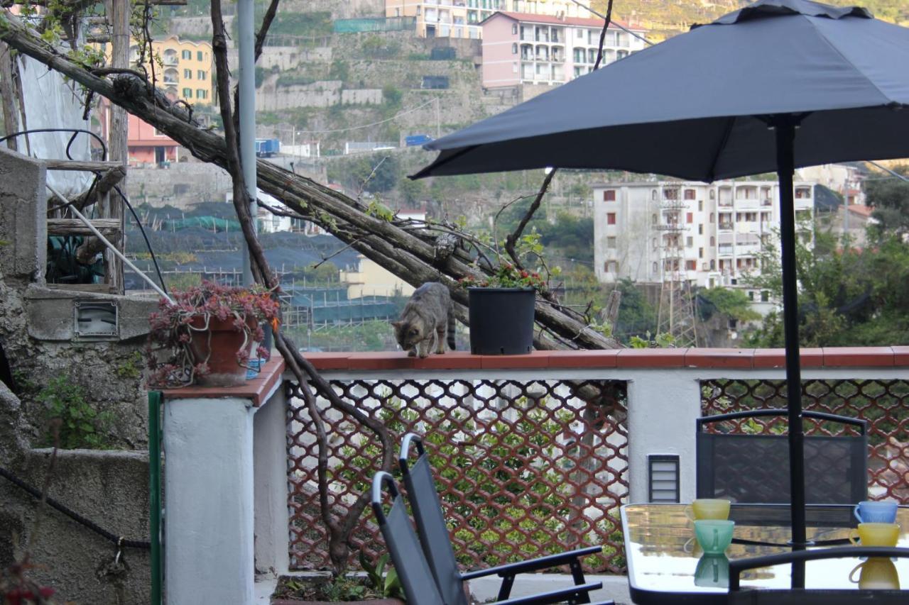 Marella Holiday home *