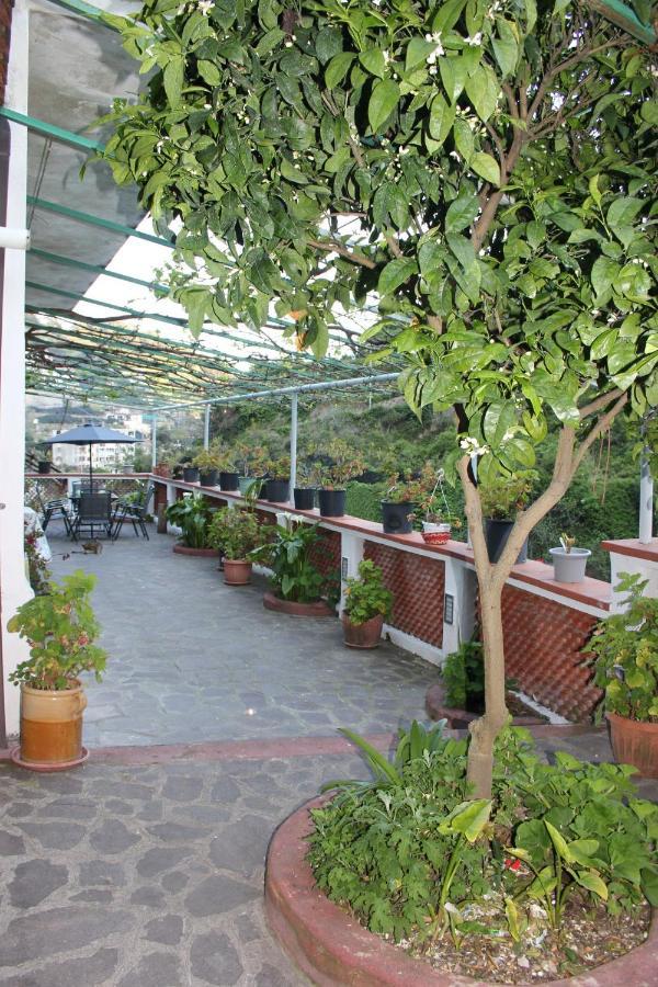 Ferienhaus Marella *